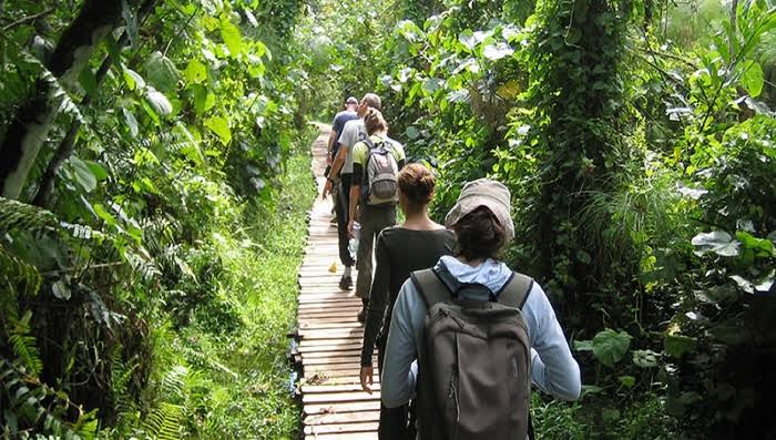 Guided Nature Walk Tours in Uganda